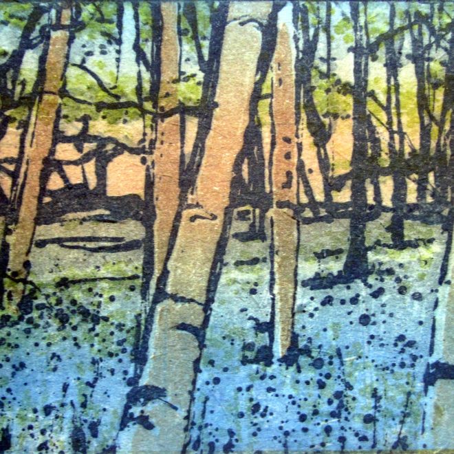Bluebell Woods (Ann Massing)