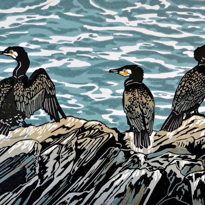 Cormorants (Nina Sage)