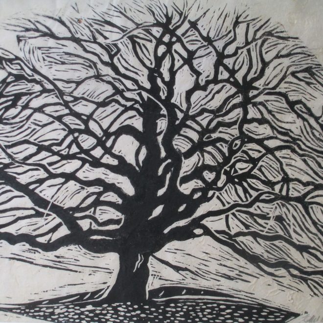 Oak Tree (Liz Beardwell)