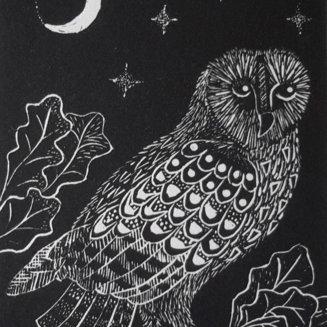 Owl and the Moon (Anna Pye)