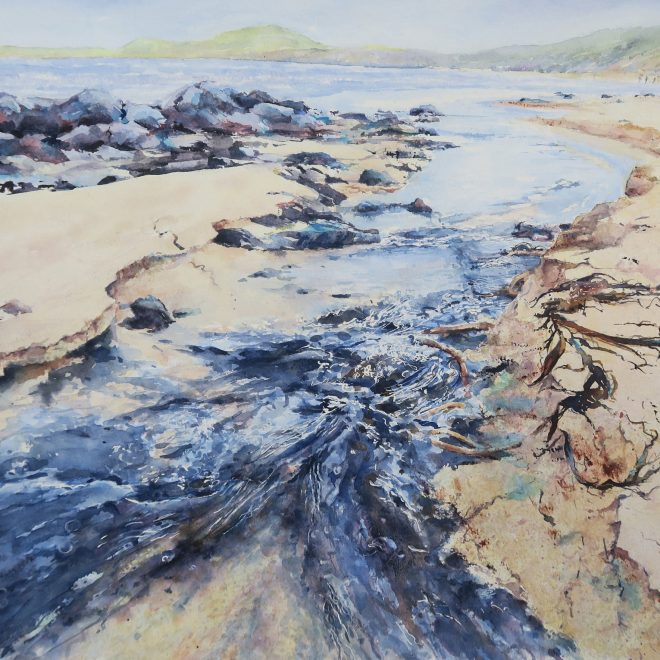 Sandy Banks and Seaweed (Chris Lockwood)