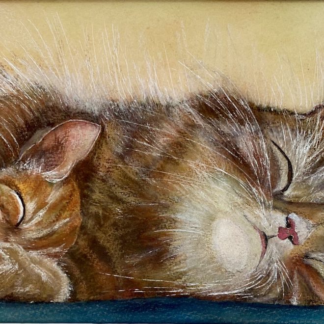 Snuggled up (Christine Wilson)