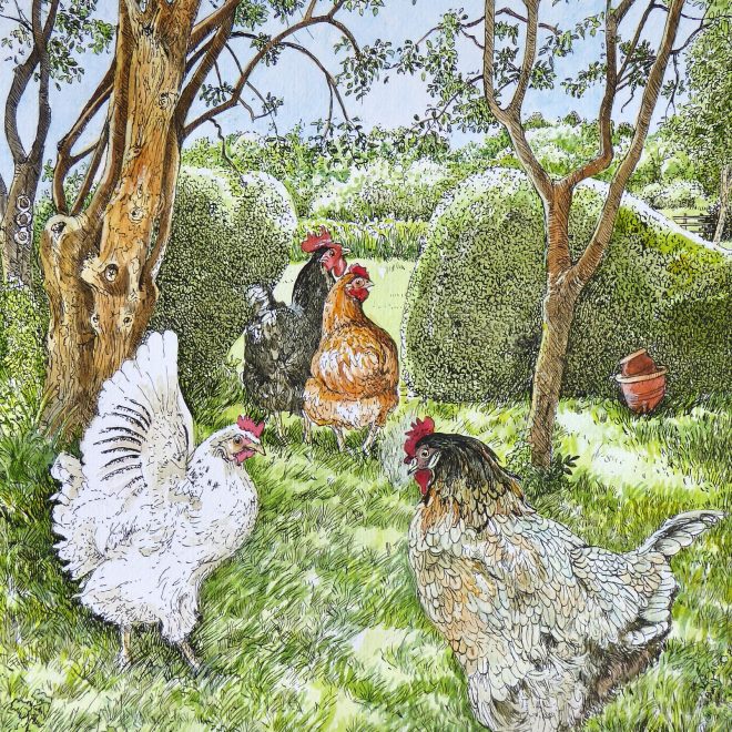 Sylvia's chickens (Fran Godwood)