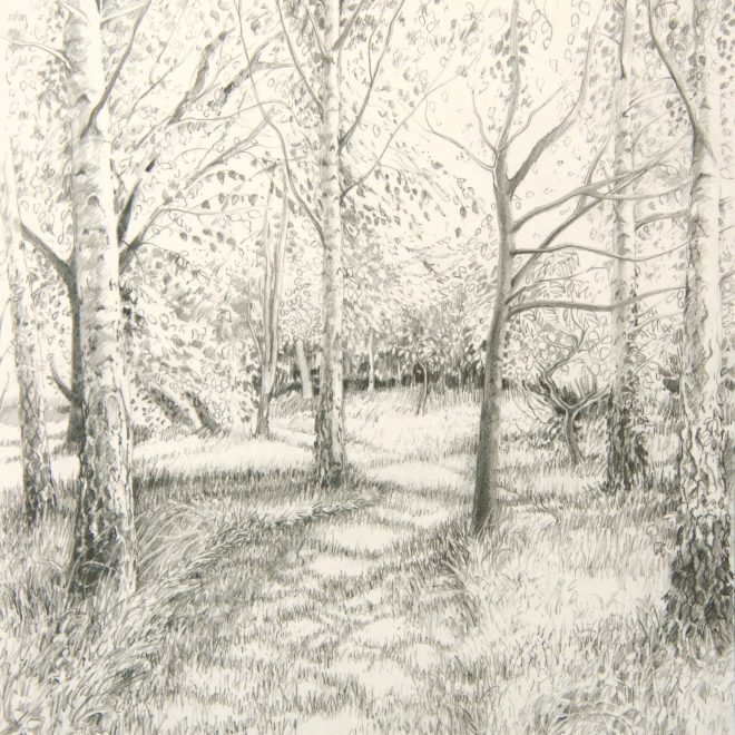 The Birch-wood Path (Ann Brown)