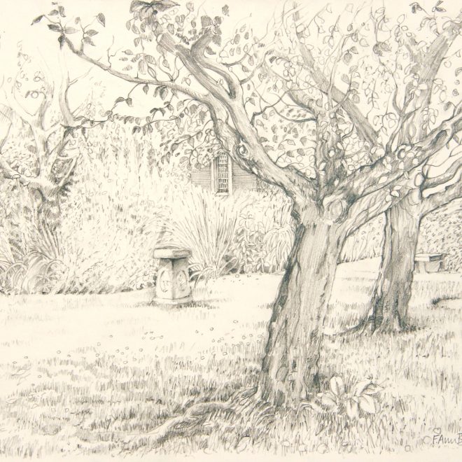 The Margaret Beaufort Garden (Ann Brown)