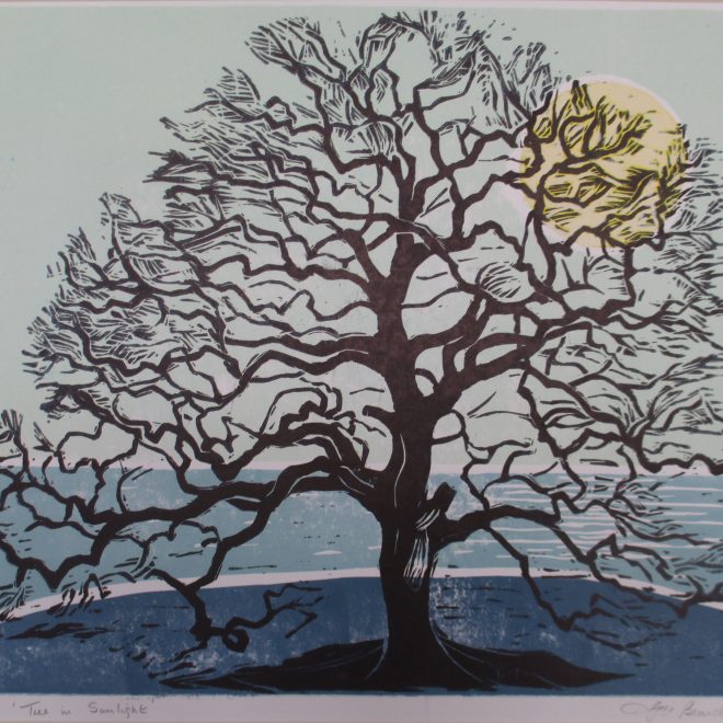 Tree in Sunlight (Liz Beardwell)