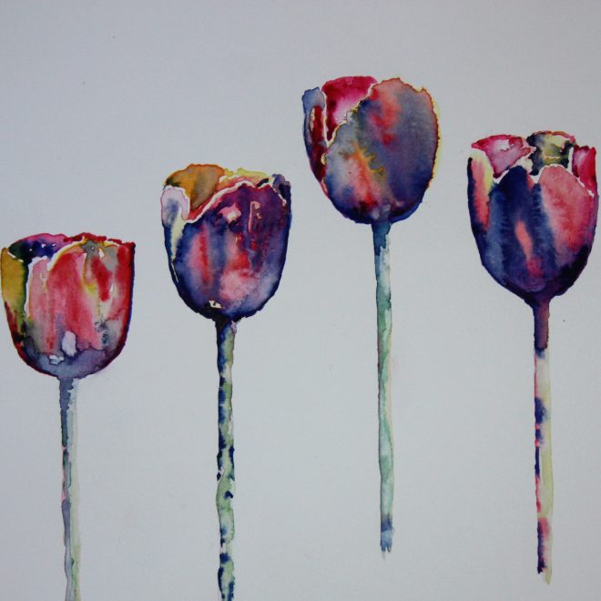 Tulips (Barbara Hope)