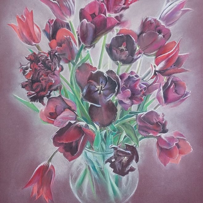 Tulips (Rachel Haynes)