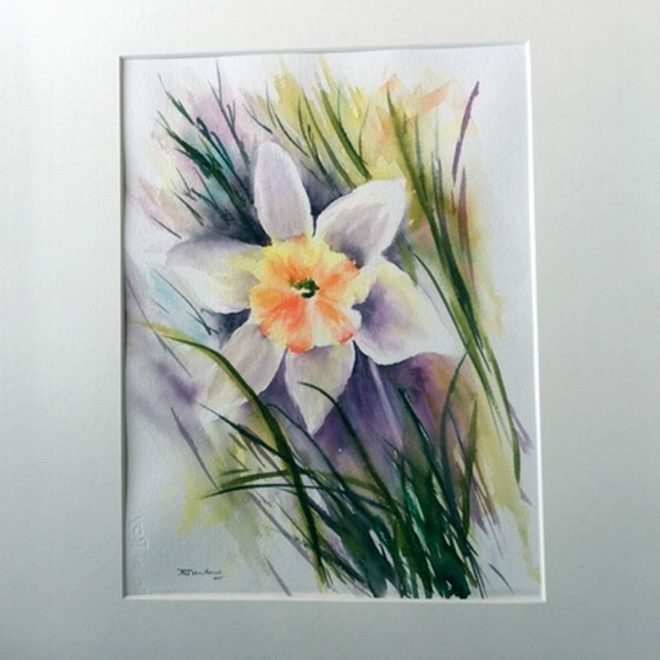 UNFRAMED DAFFODIL (Barbara Harlow)