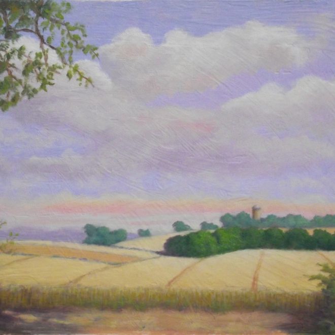 View from the Roman Road (Colin Hayes)