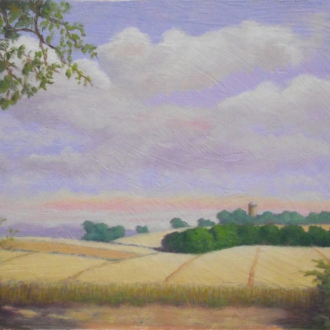 View from the Roman Road (Colin Hayes)