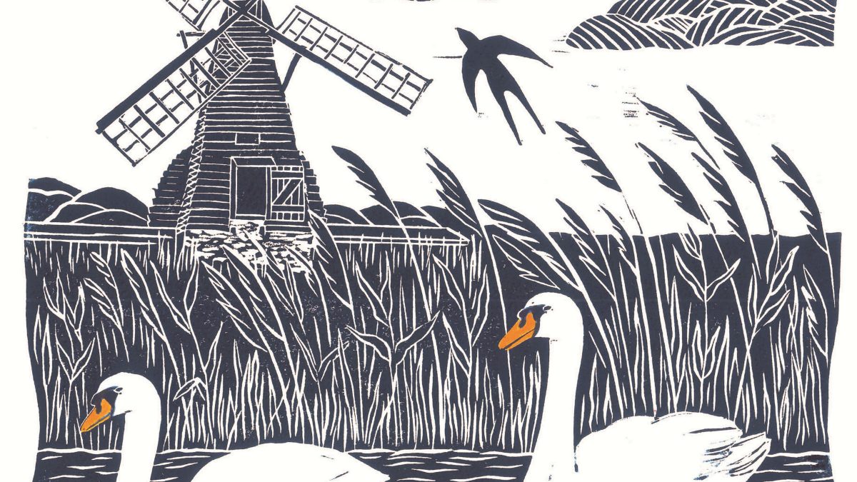 Wicken Fen (Anna Pye)