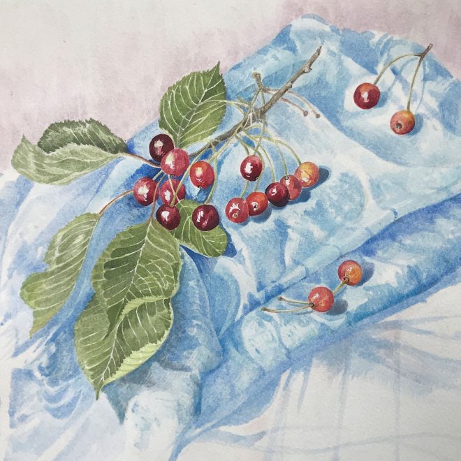 Cherries-on-a-blue-cloth-(Jenny-Wilson)