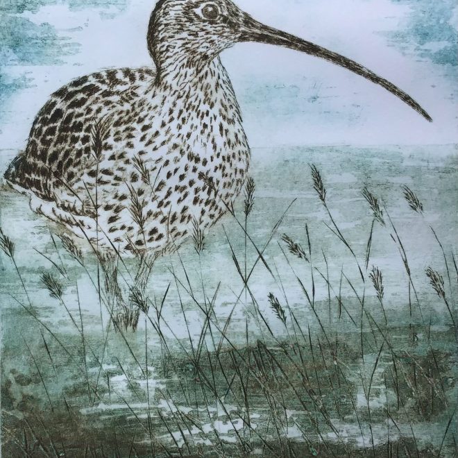 Curlew-by-the-River-Greta-(Sherry-Rea)