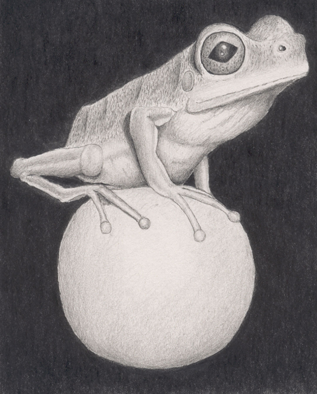 Frog-(Tim-Milner)