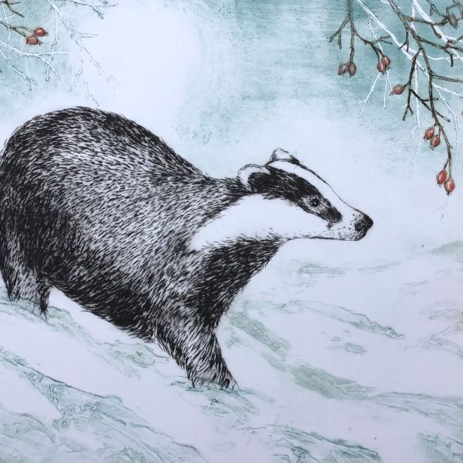 Winter's-Badger-(Sherry-Rea)