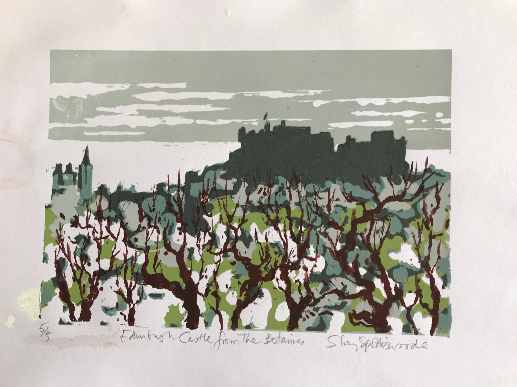 Edinburgh Castle from the Botanics (Shirley Spottiswoode