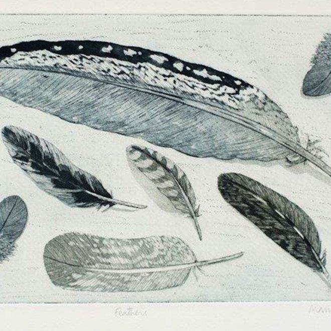 Feathers (Mary Seymour)