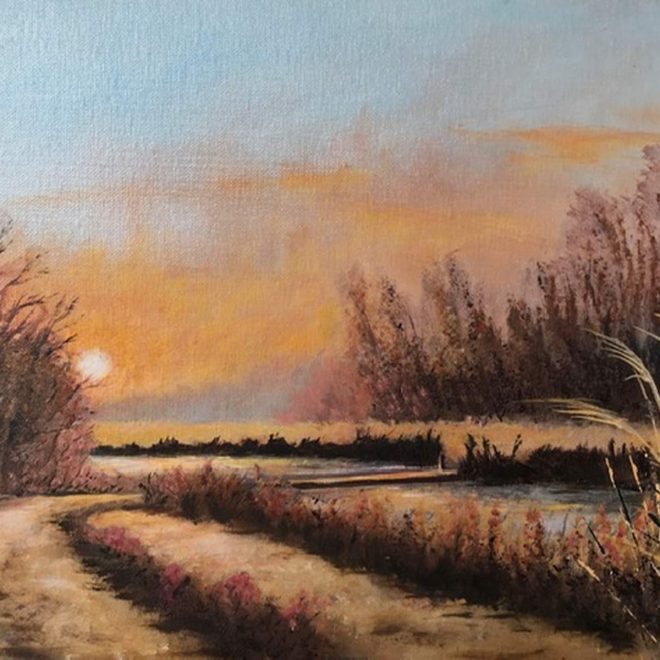 Monks Lode Wicken Fen (Barbara Harlow)