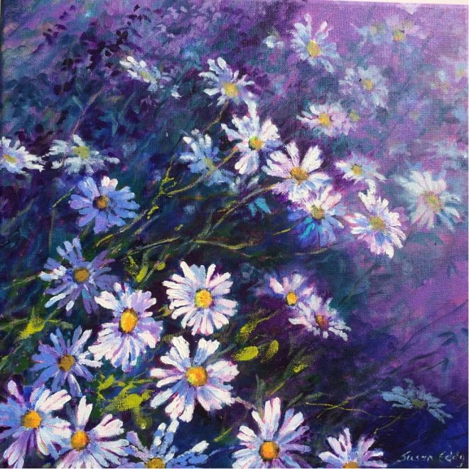 Ox-Eye Daisies and Catmint (Sue Eddy)