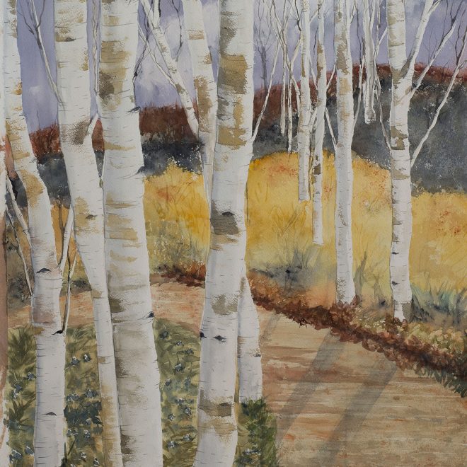 Silver-Birches-(Liz-Hales)