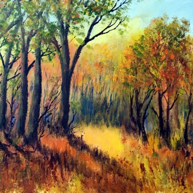 Sunlight In Autumn Woods (Barbara Harlow)