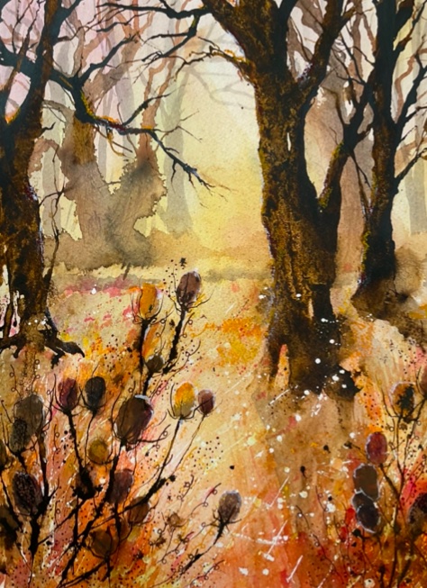 Sunrise Through The Trees (Caroline Furlong)