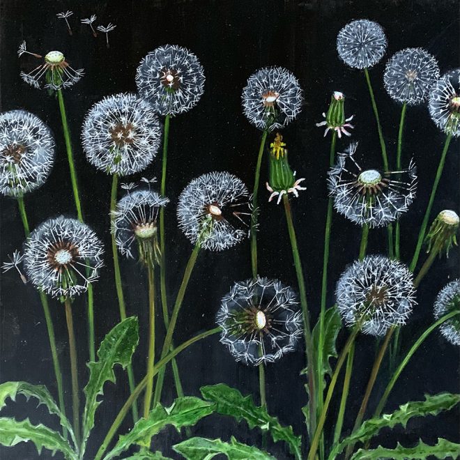 Dandelions - Oil (Janice R Anderson)