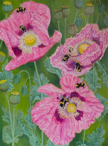 Pollen Gatherers - Oil (Janice R Anderson)