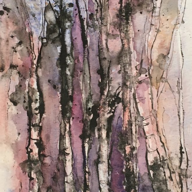 Birch trees at Chmiel (Penny Newman)