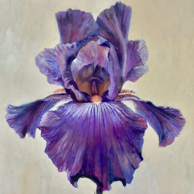 Iris (Jill Mumford)