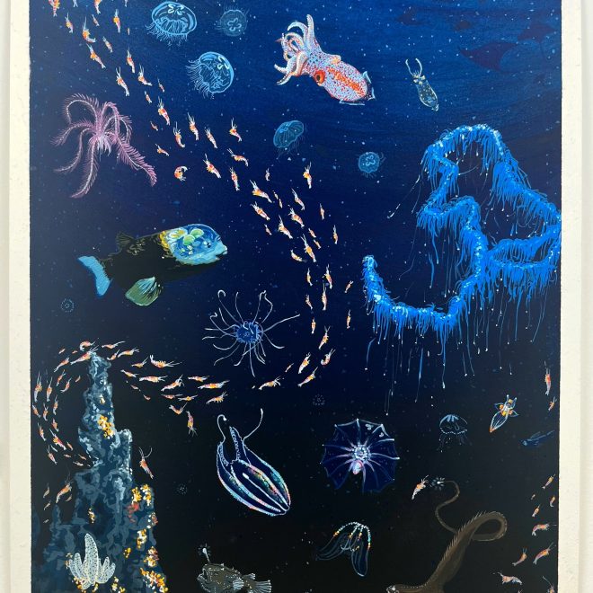 Deep Sea Treasures (Jessica Hutchinson)