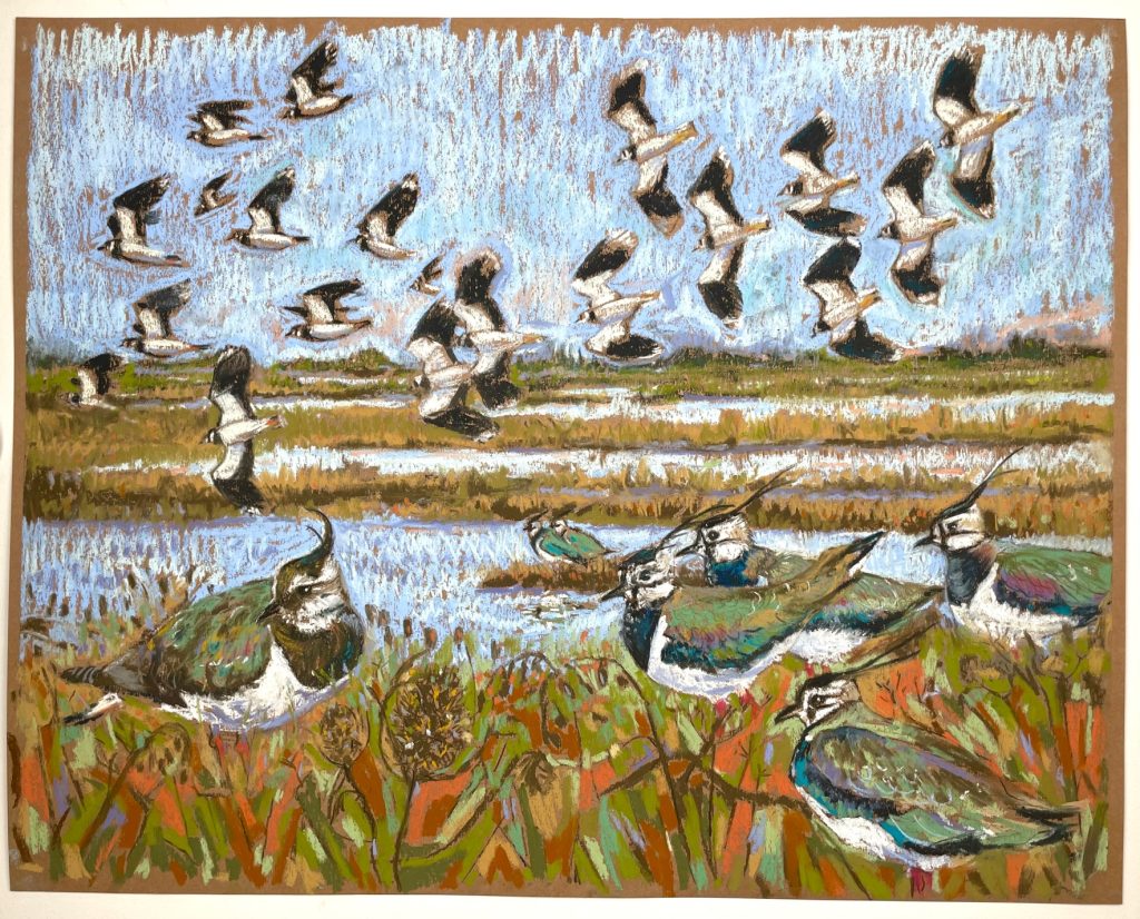 Flight of the Lapwings - Sarah Hutchinson