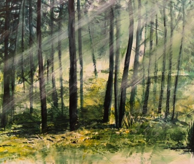 Forest, Early Light (Amanda Holland)