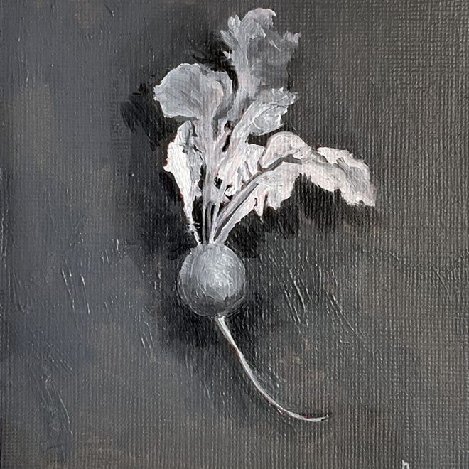 Garden Radish (Monica Alikoviene)