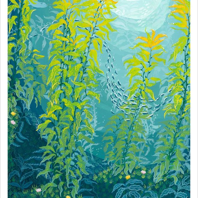 Hidden Treasures of the Kelp Forest (Jessica Hutchinson)