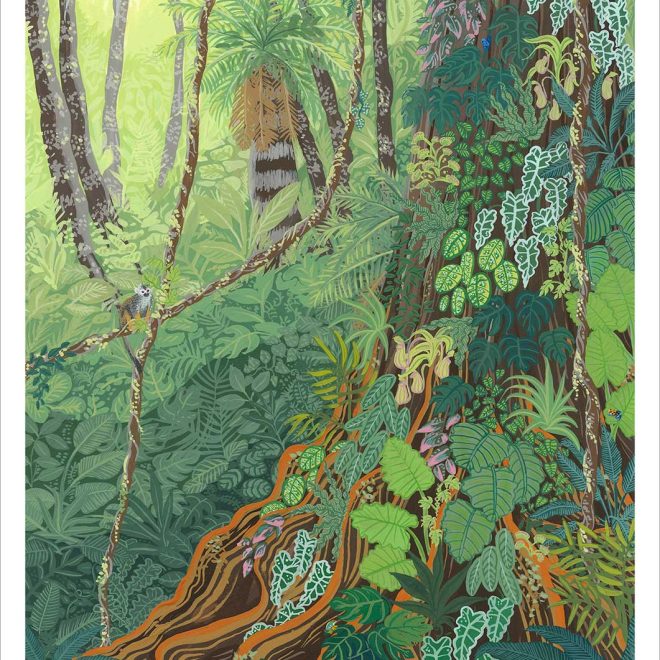 Hidden Treasures of the Rainforest (Jessica Hutchinson)