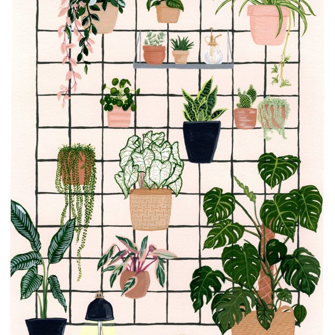 Housecat and Houseplants (Jessica Hutchinson)