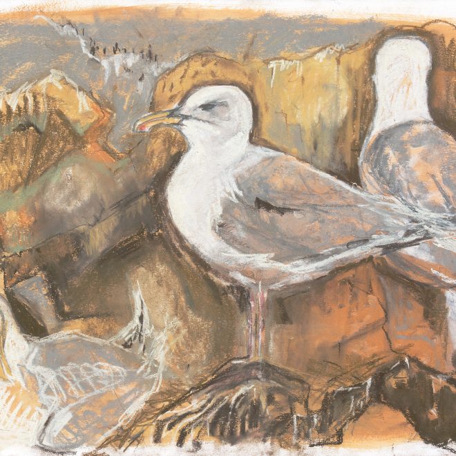 Lookout - Herring Gulls on the Isle of Fidra - Sarah Hutchinson