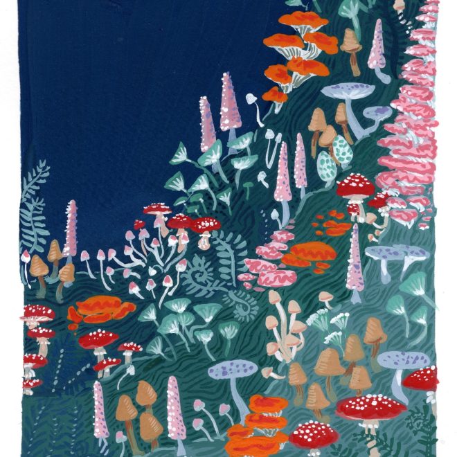 Nighttime Fungi Forest (Jessica Hutchinson)