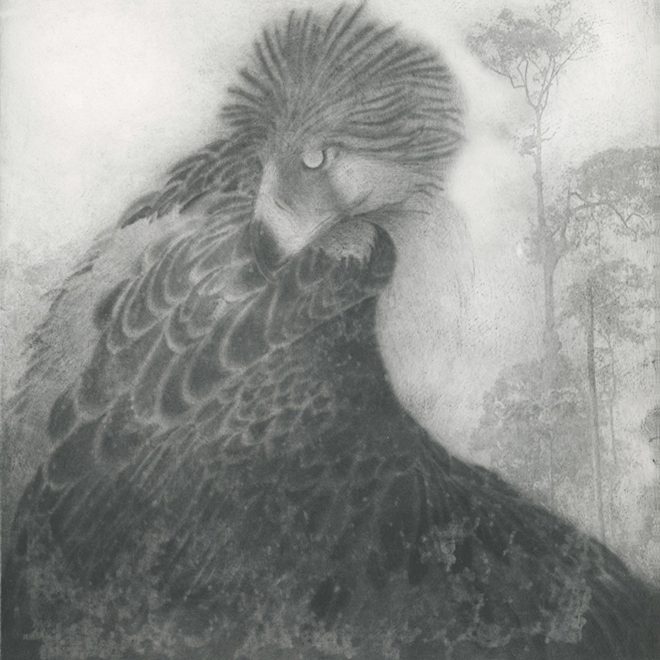 Philippine Eagle Sachiko Purser