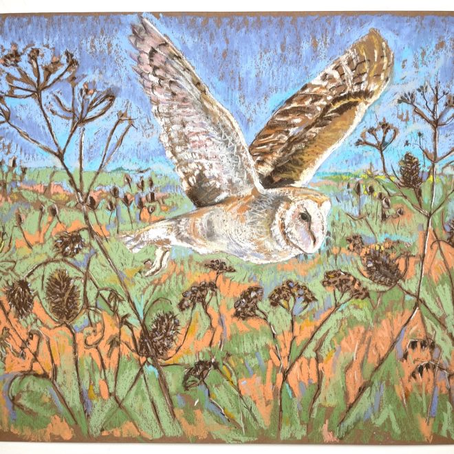 Water Meadow Barn Owl - Sarah Hutchinson