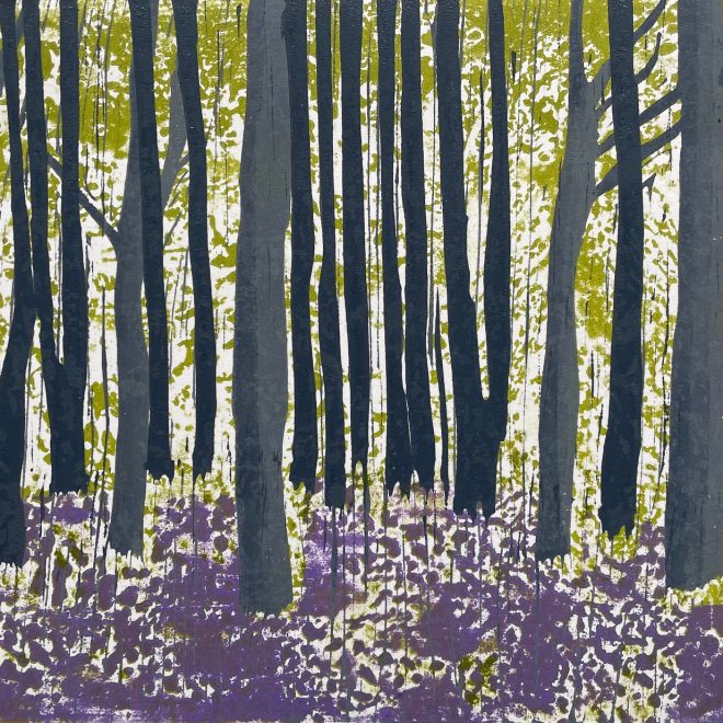 Bluebells (Liz Hartley)