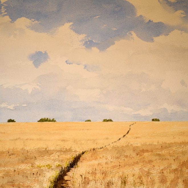 Wheatfield (Bob Ecclestone)