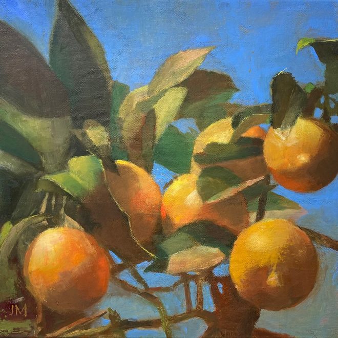 Sorrento lemons (Jill Mumford)