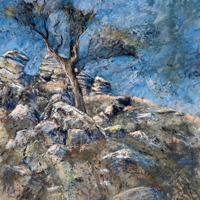 The lone tree perched on the granite tor (Lynn Norton)