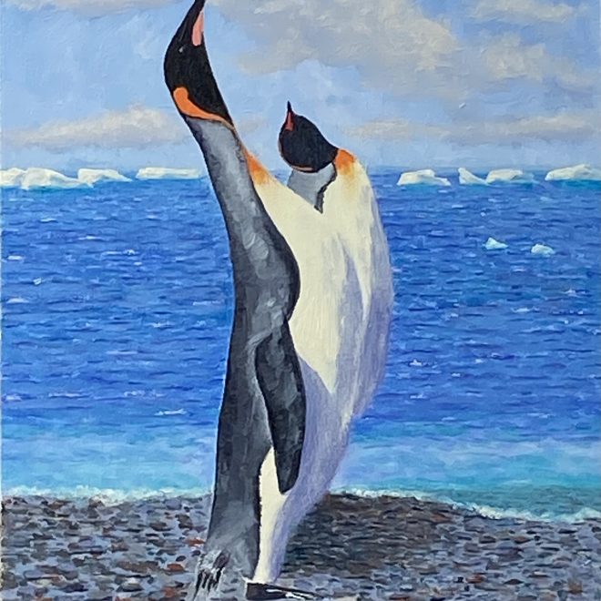 King penguins posturing (Paul Rodhouse)