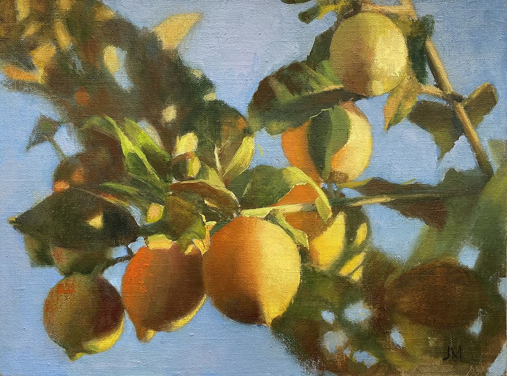 Lemon tree (Jill Mumford)