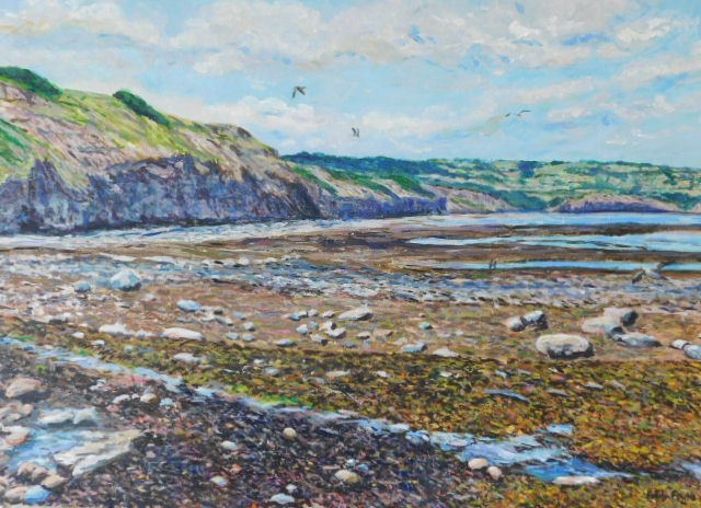 Robin Hood Bay looking North (Emily Fowke)