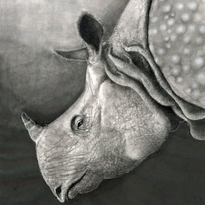 Javan Rhino (Sachiko Purser)